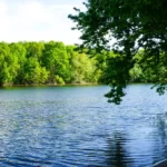 Eerd River: Hidden Treasure Of Natural Beauty