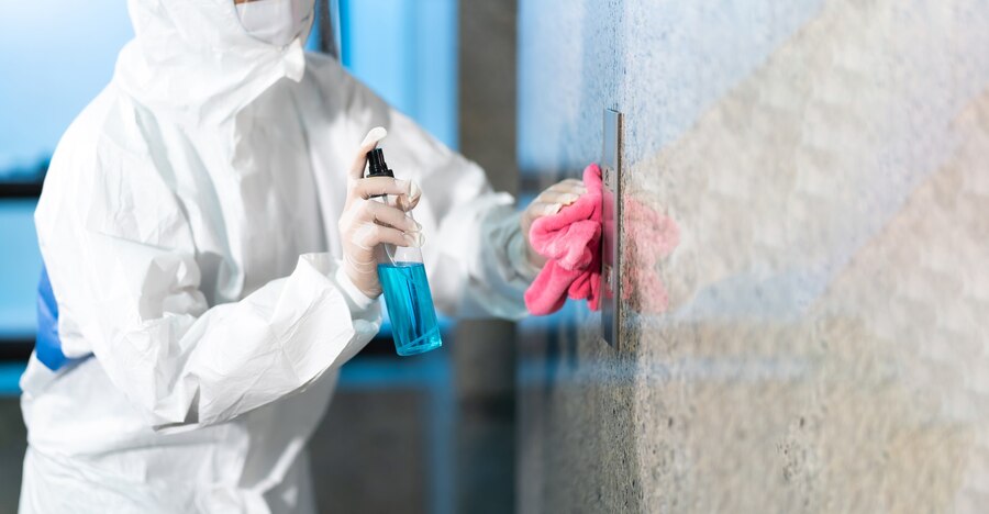 Mold Inspections