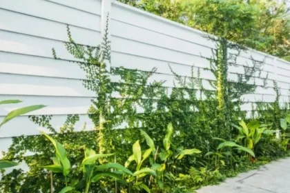 Garden Protection