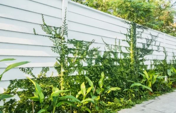 Garden Protection