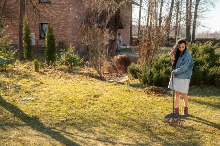 Simple Landscaping Tricks That Also Reduce Flood Risk in Your Backyard