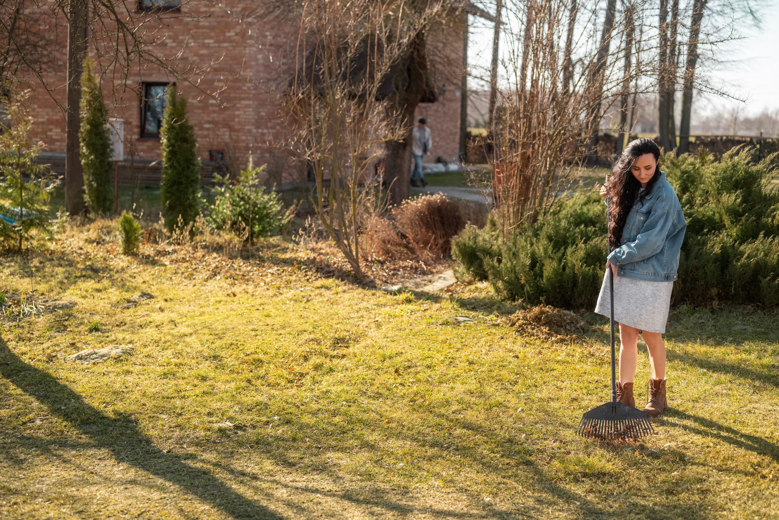 Simple Landscaping Tricks That Also Reduce Flood Risk in Your Backyard