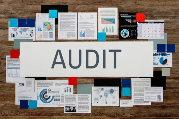 Why CPAs Are Vital For Preparing Audit Ready Statements